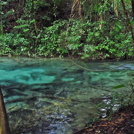 Campamento Rio Lacanja Hotel Bagian luar foto