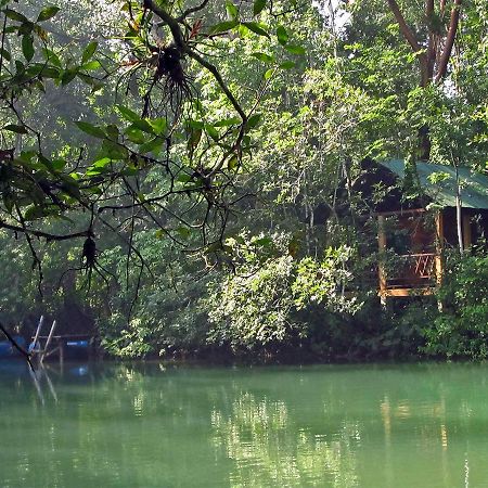 Campamento Rio Lacanja Hotel Bagian luar foto