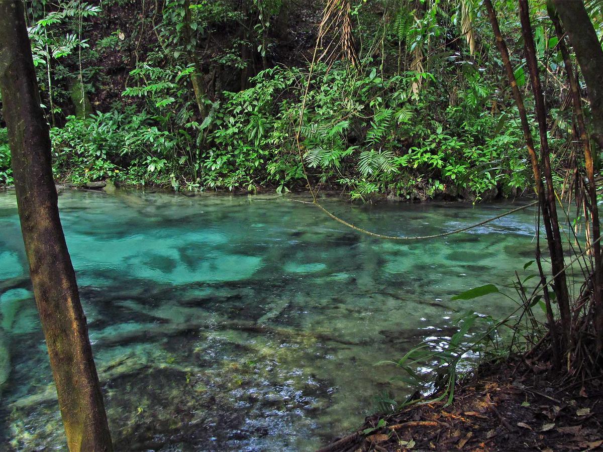 Campamento Rio Lacanja Hotel Bagian luar foto