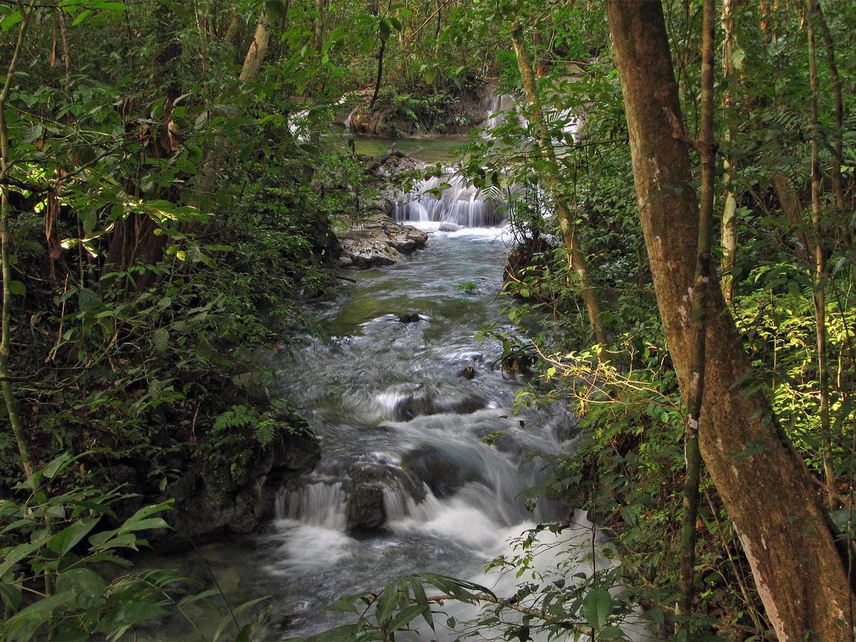 Campamento Rio Lacanja Hotel Bagian luar foto