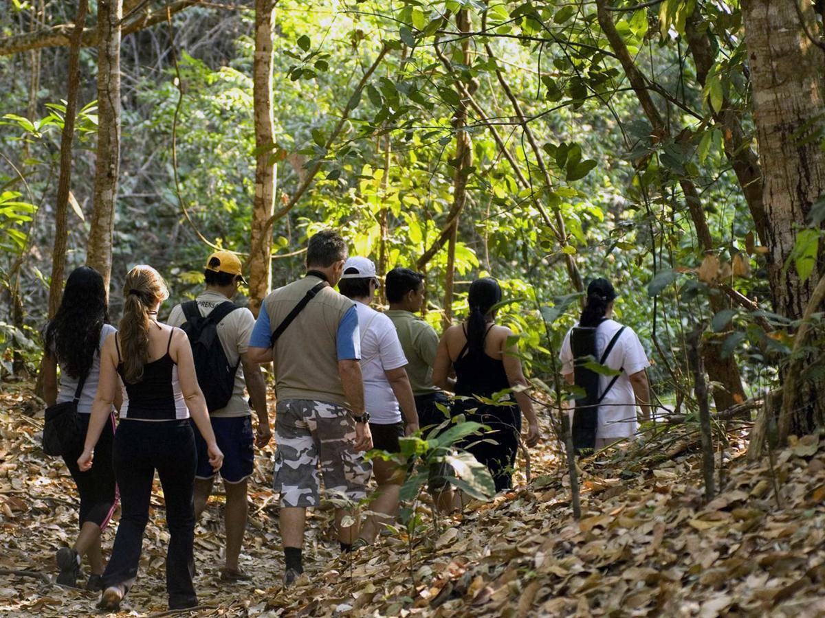 Campamento Rio Lacanja Hotel Bagian luar foto